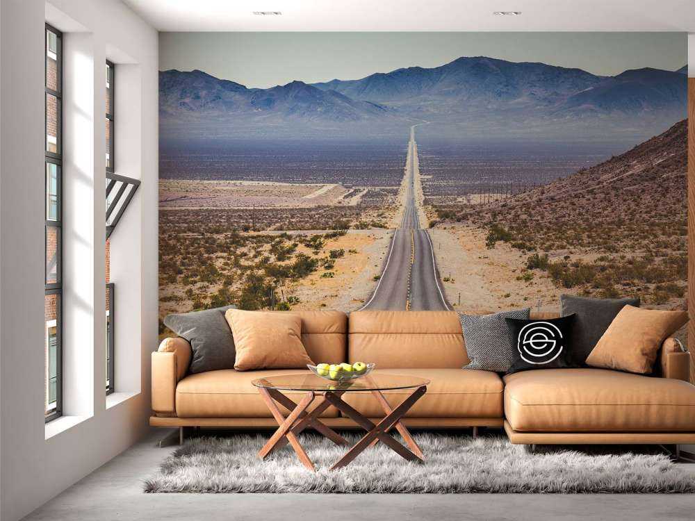 Weg door een Amerikaanse woestijn