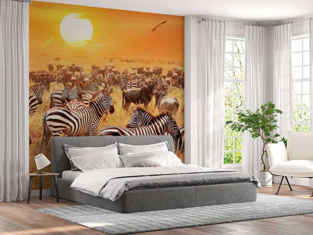 Savanne zon met zebra's