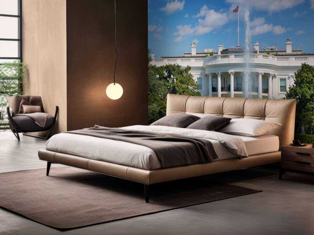 Het Witte Huis in Washington