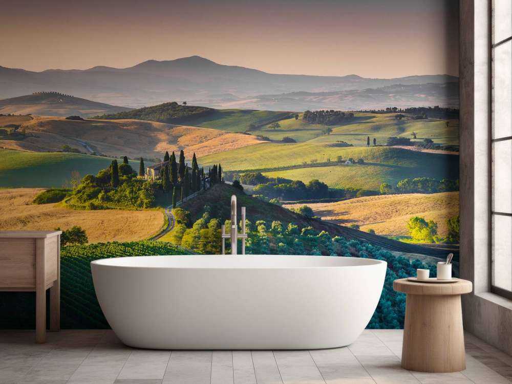 Toscaans landschap met wijngaarden