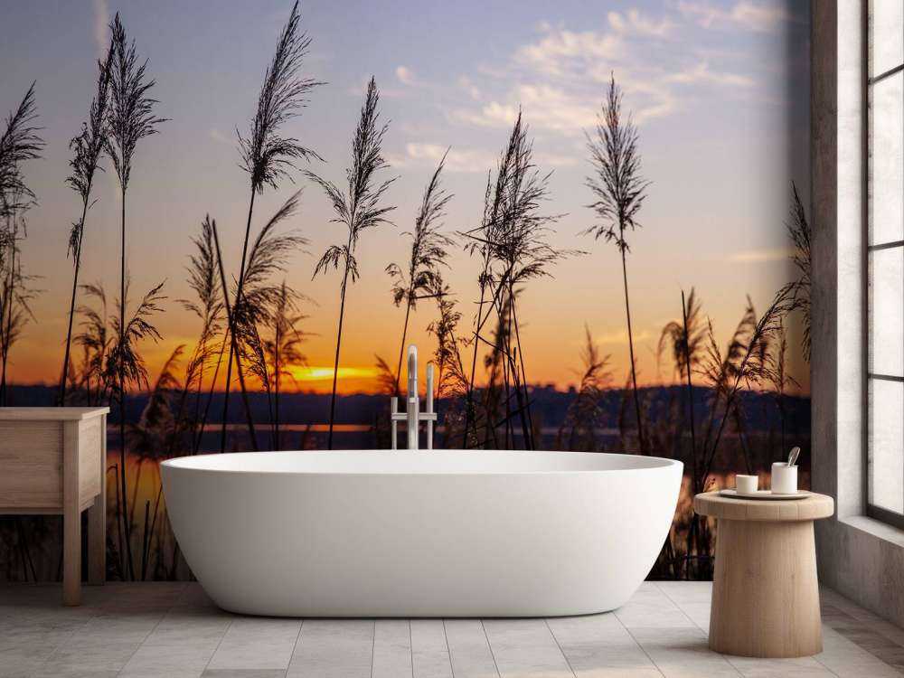 Rivier met riet bij zonsondergang