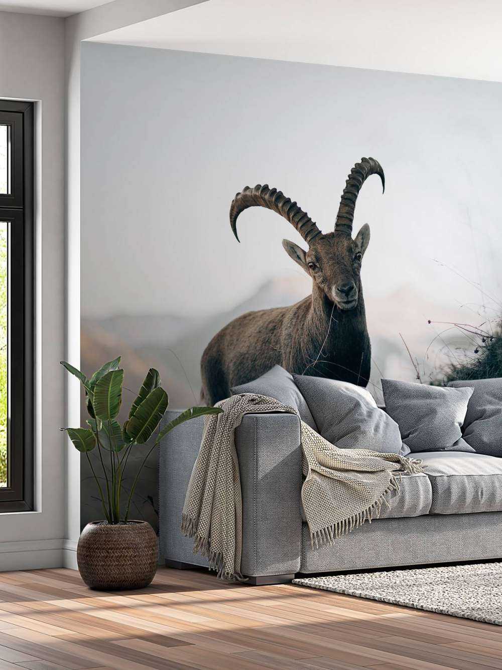 Steenbok in de bergen