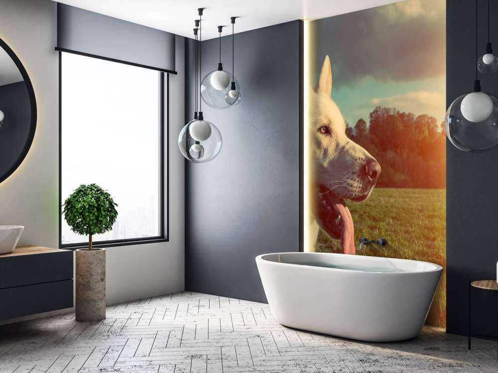 Grote witte hond bij zonsondergang