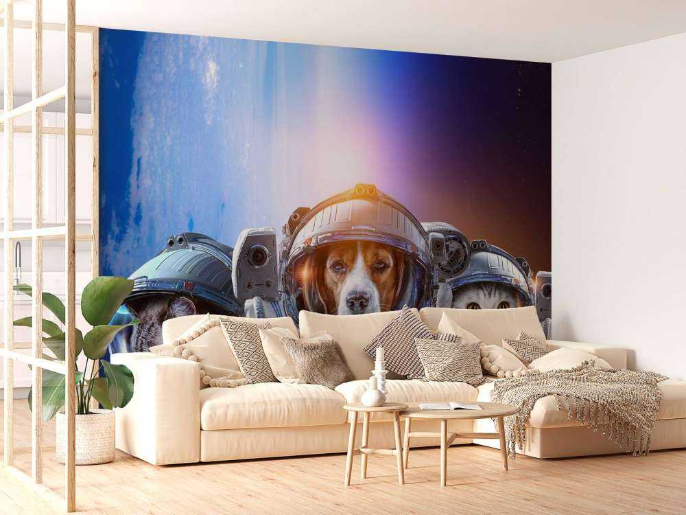 Dierlijke astronauten