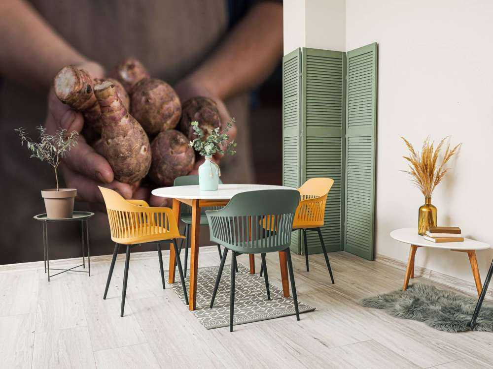 Aardproducten