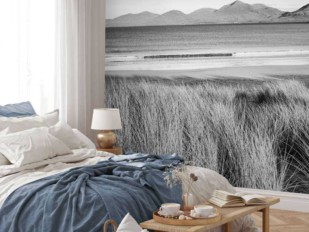 Helmgras, strand en bergen