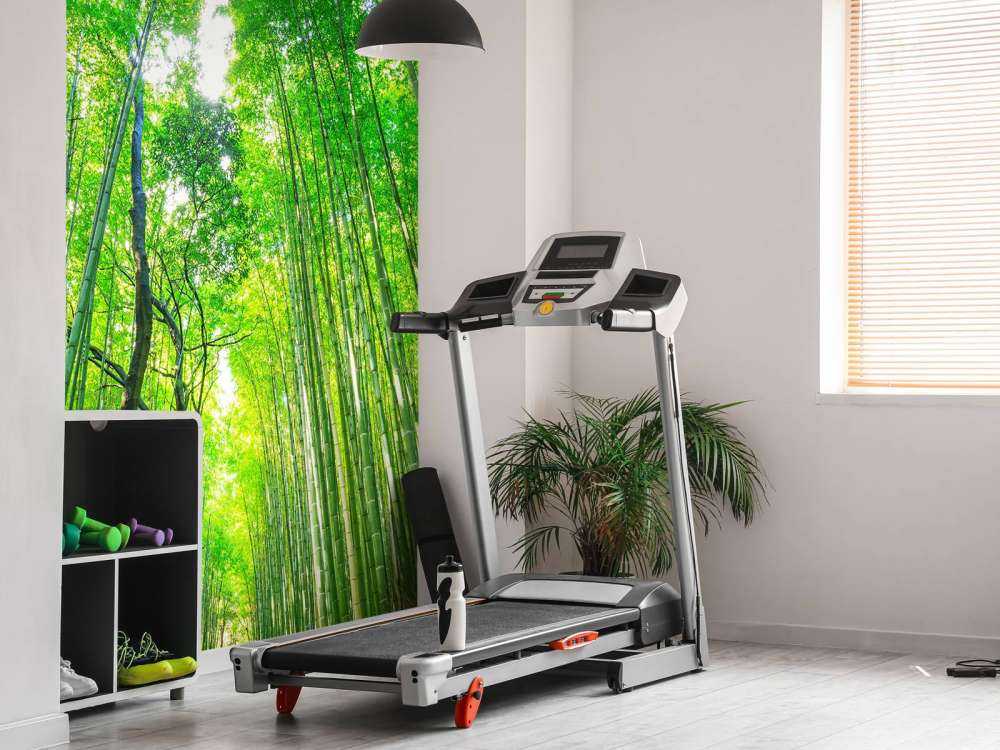 Bamboebos van Arashiyama