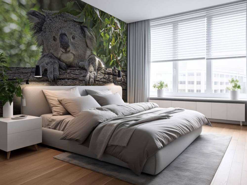 Schattige koala