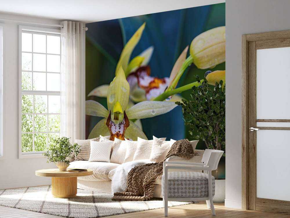 Wilde, gele orchidee