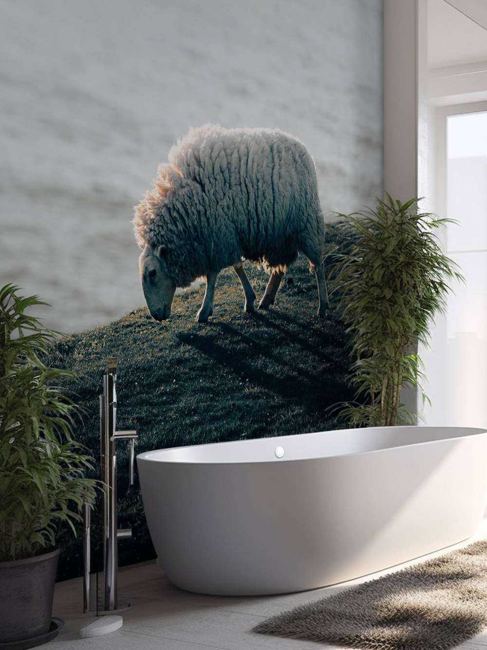 Grazend schaap