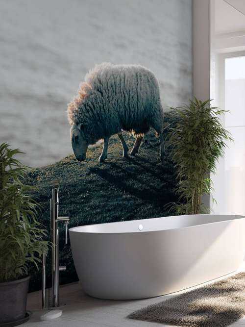 Grazend schaap