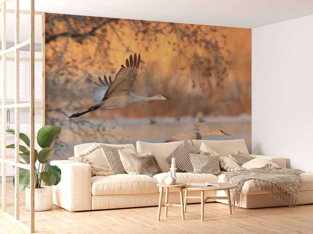 Vliegende kraanvogels