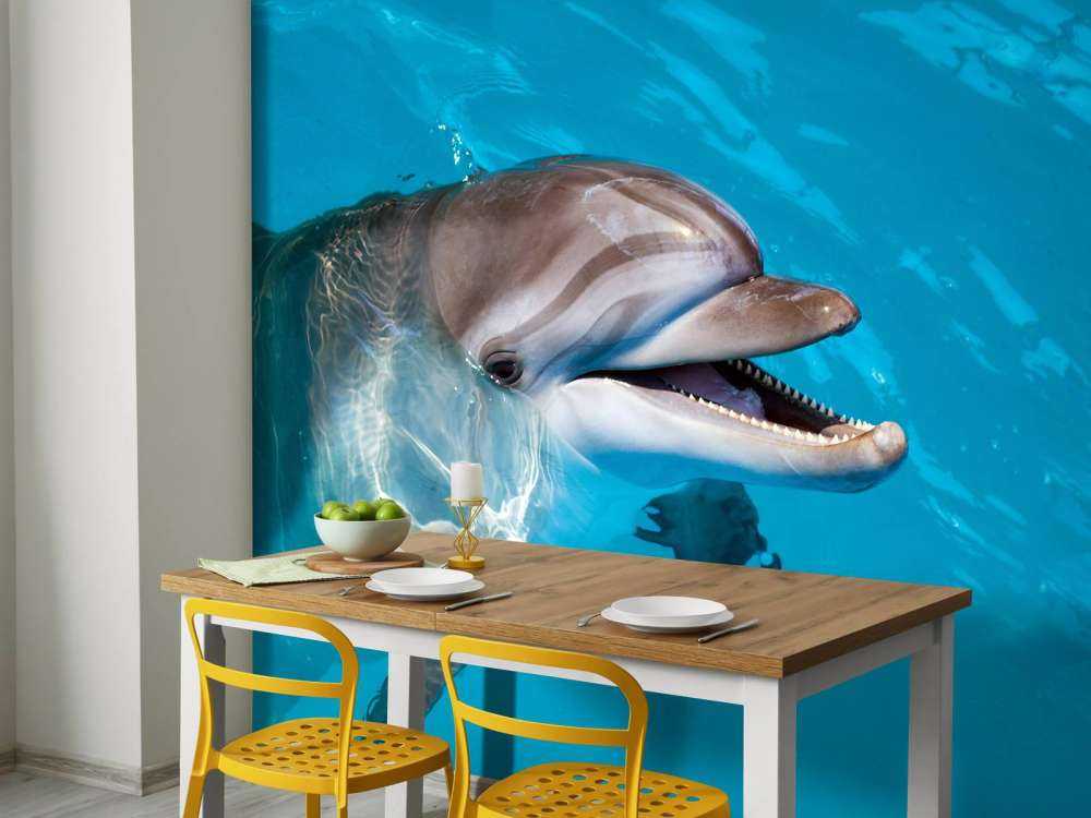 Vriendelijke dolfijn