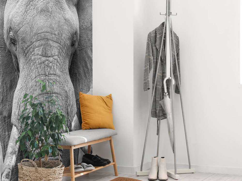 Olifant zwart-wit