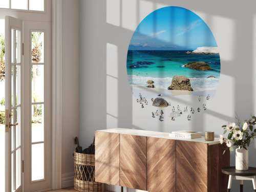 Strand met pinguïns