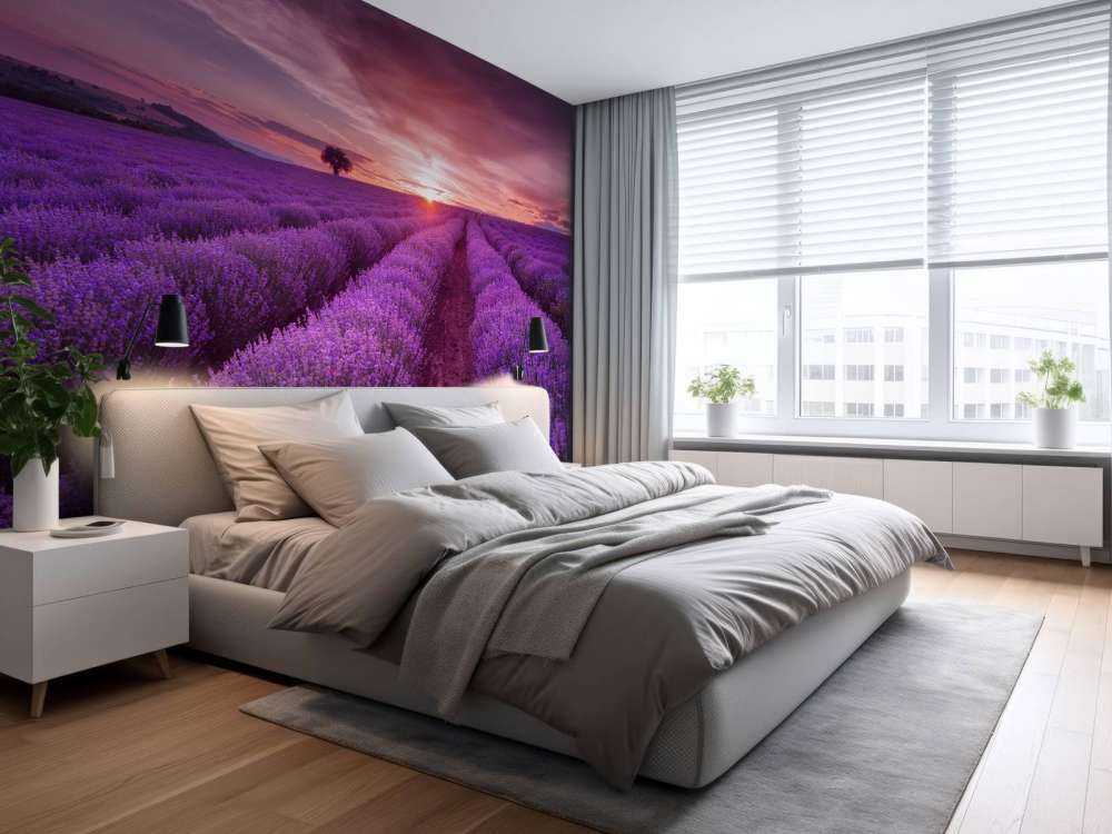 Veld met Lavendel en zon