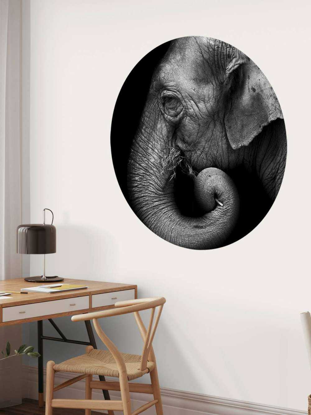 Olifant portret