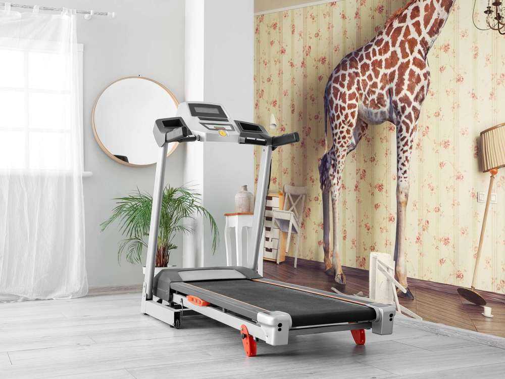 Giraffe in de woonkamer