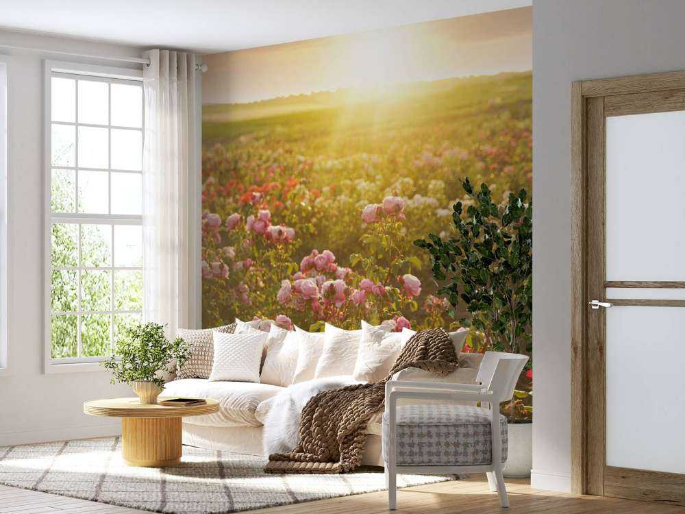 Veld vol rozen