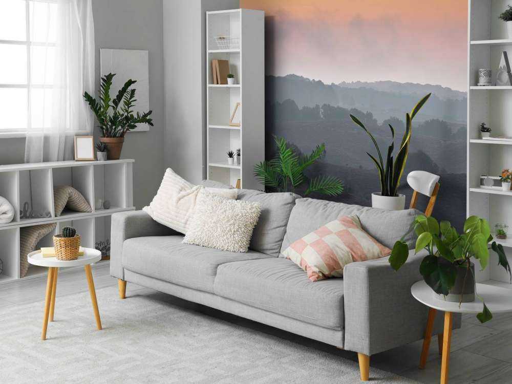 Mistige zonsopkomst op de heide