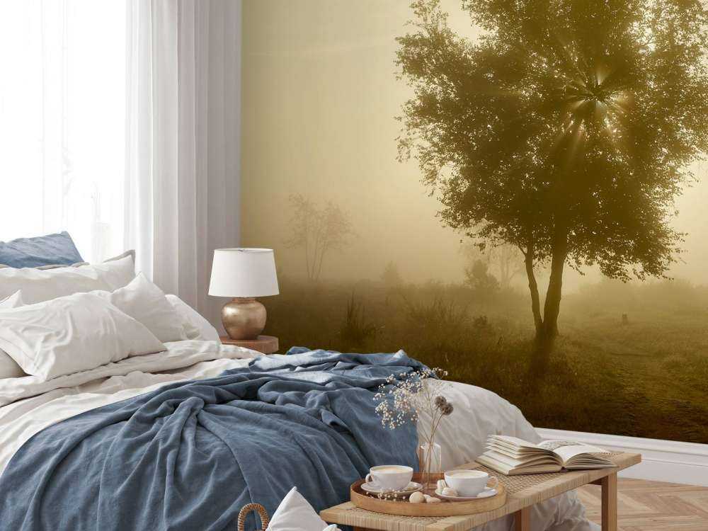 Goudkleurige zonsopkomst