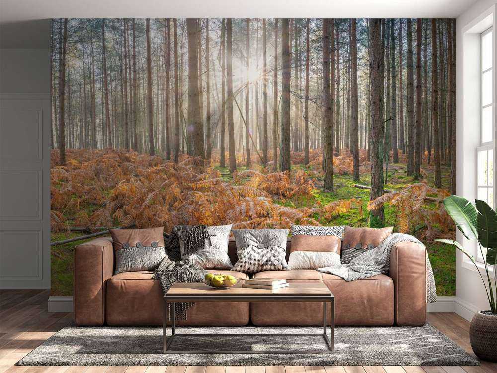 Bos tijdens de zonsopkomst