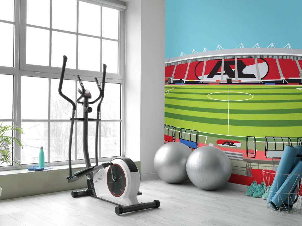 AFAS Stadion - AZ - Alkmaar