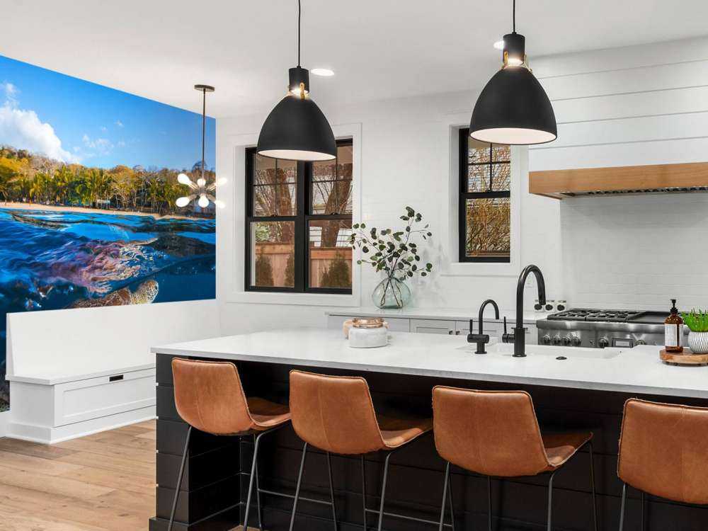 Green Turtle - Sea Turtle