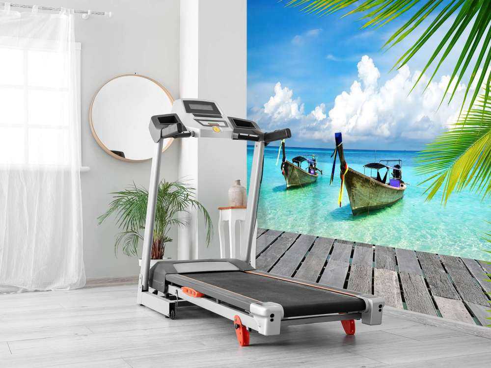 Boot en een palmboom