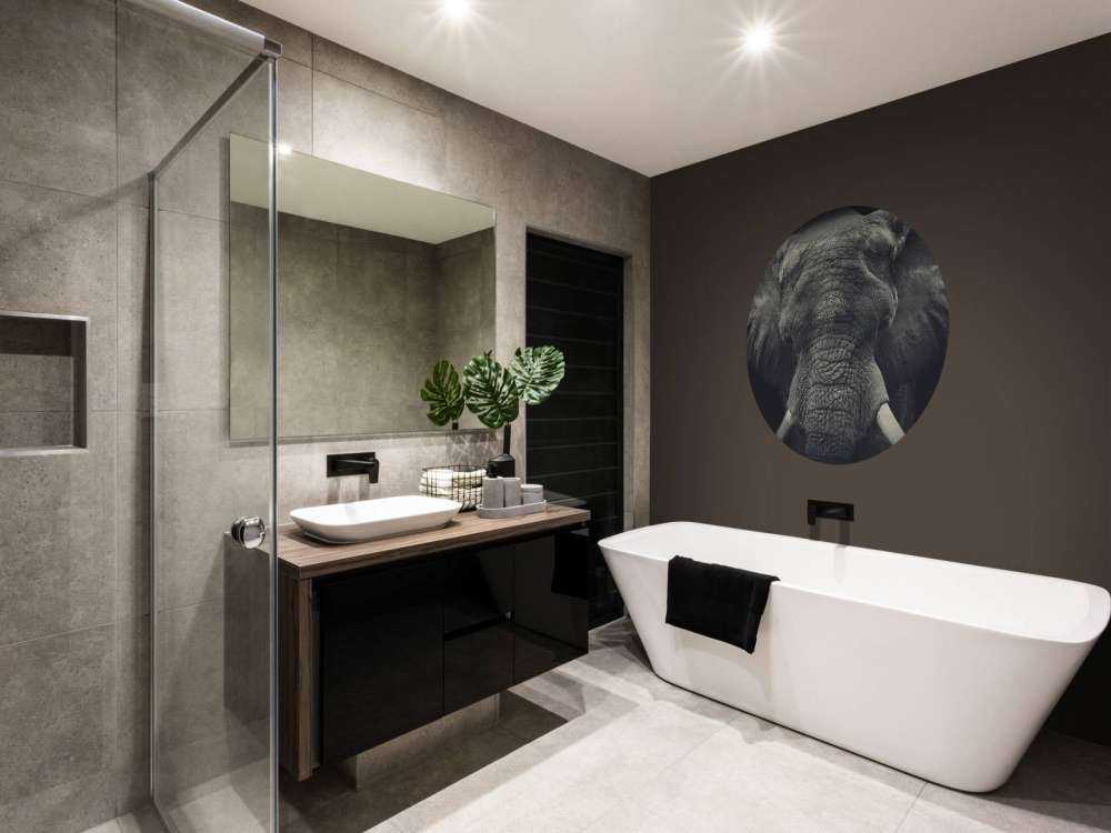 Close-up van een olifant