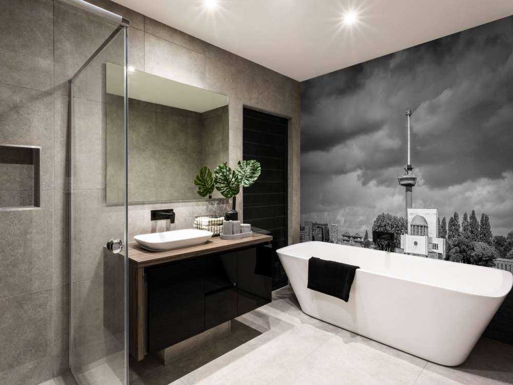 Euromast en Maas in Monochroom