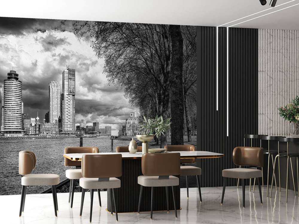 Zwart-Wit Skyline vanaf de Kade