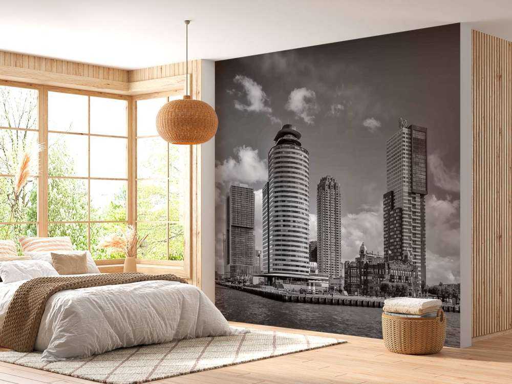 Zwart-Wit Contrast op de Kop van Zuid