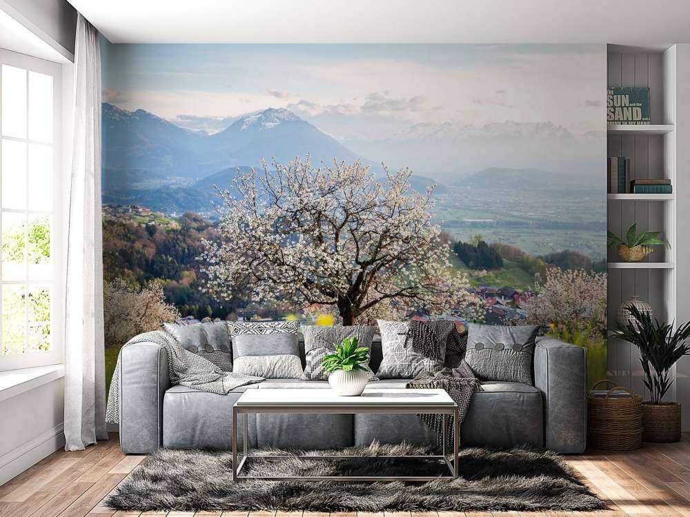 Bloesemboom in bergdal bij lentezon