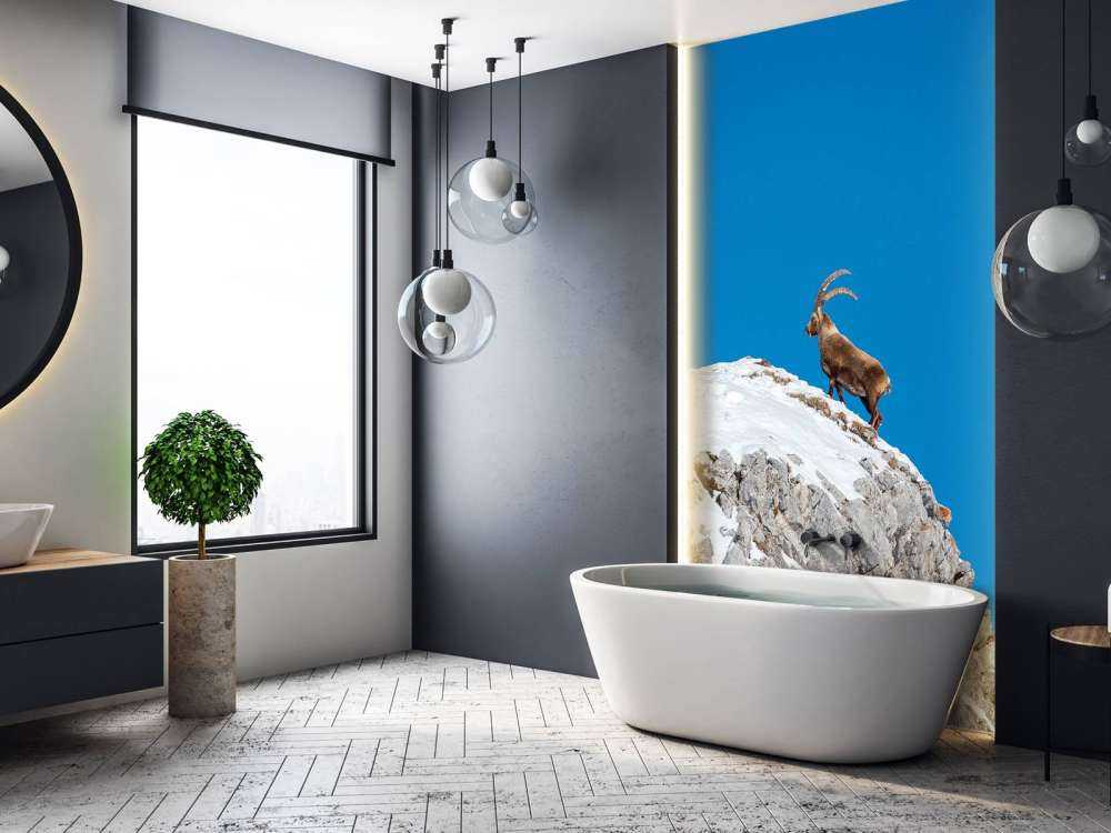 Steenbok op besneeuwde rotspiek