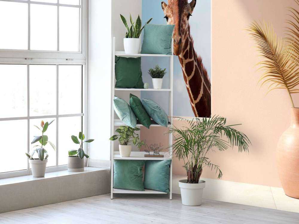 Nieuwsgierige giraffe aan het raam