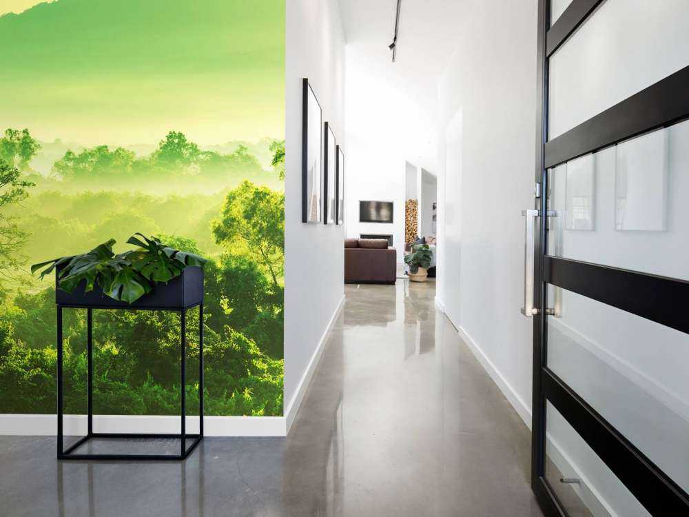 Tropische jungle in Mexico