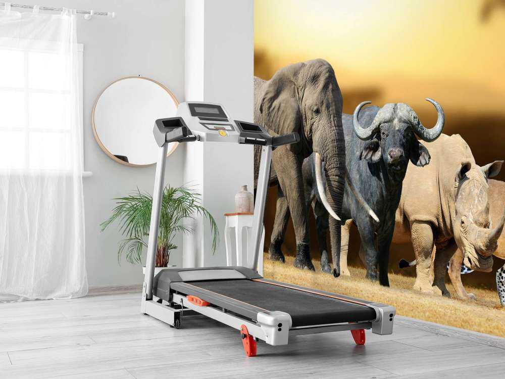 Grote Afrikaanse dieren