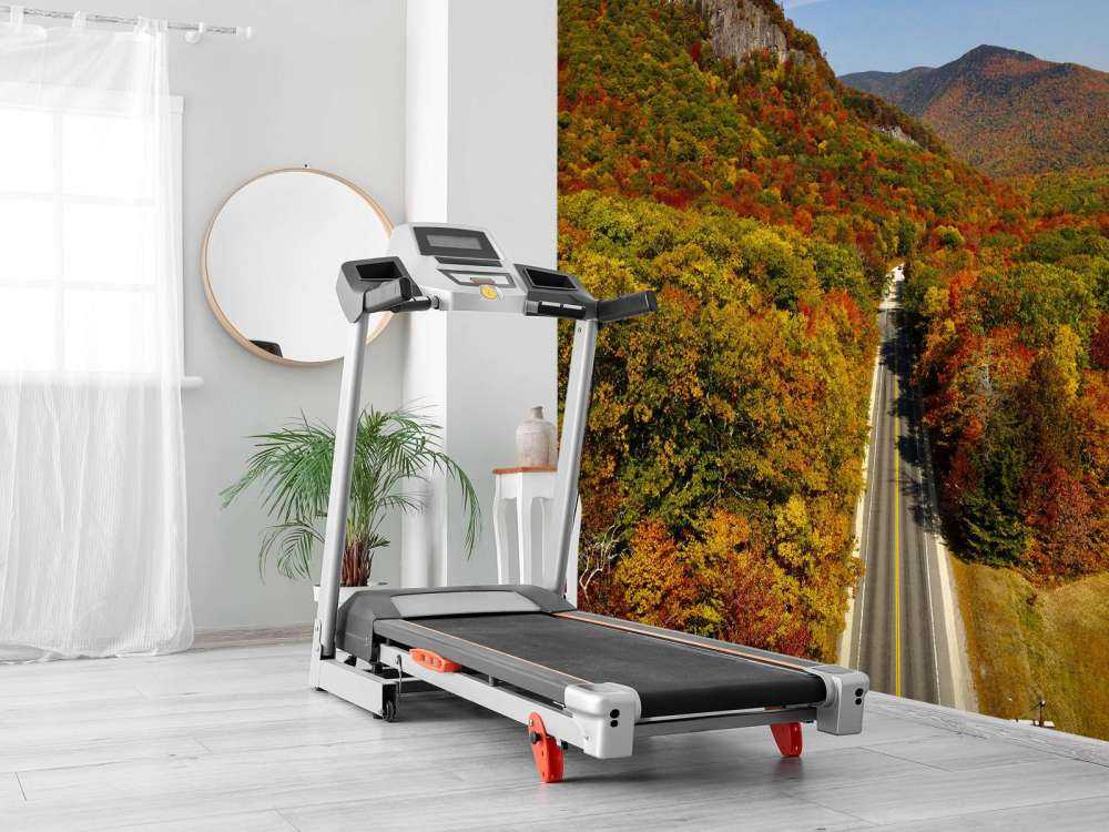 Weg door het herfstlandschap