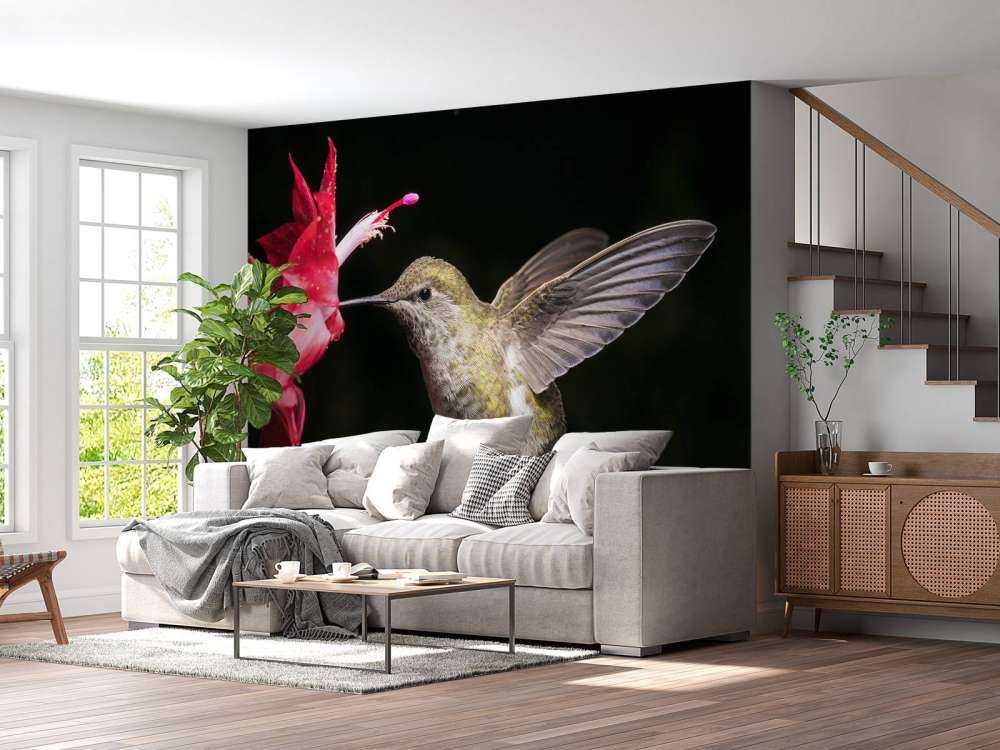 Kolibrie met rode bloem