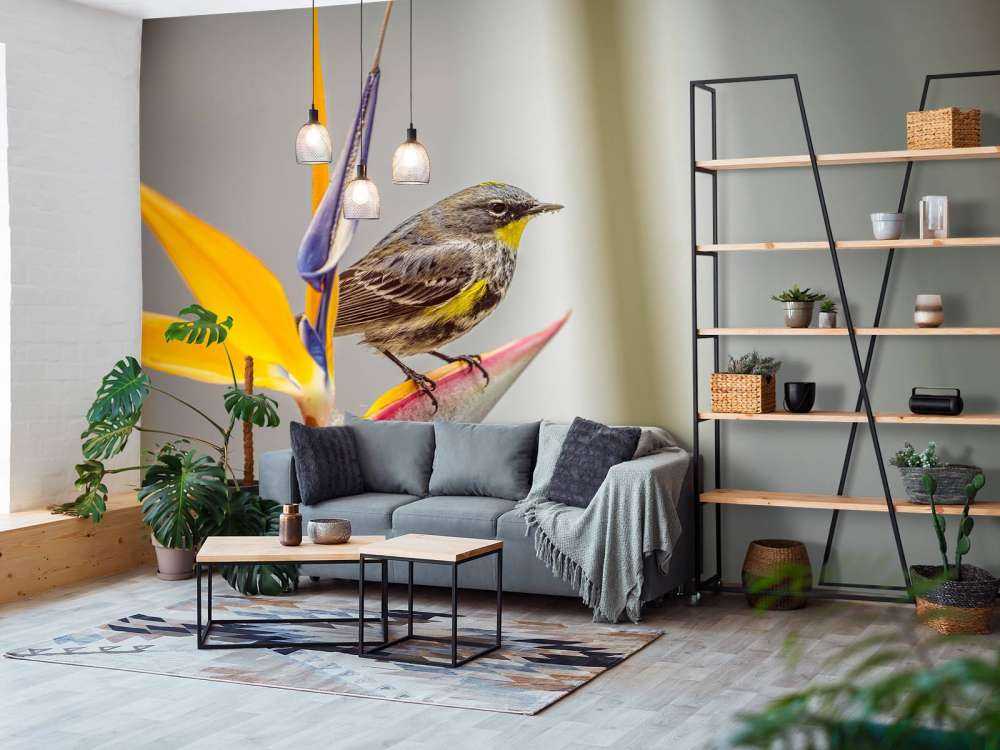 Paradijsbloem met vogeltje