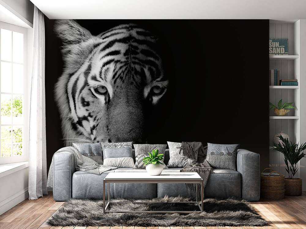 Tijger op zwarte achtergrond