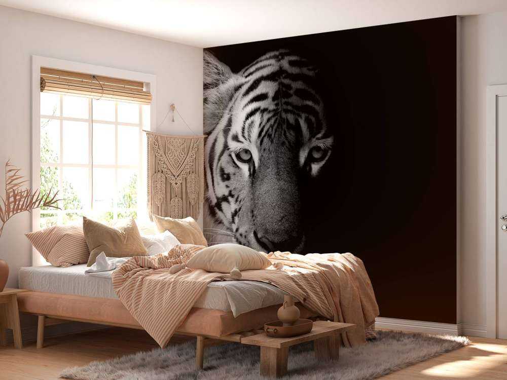 Tijger op zwarte achtergrond