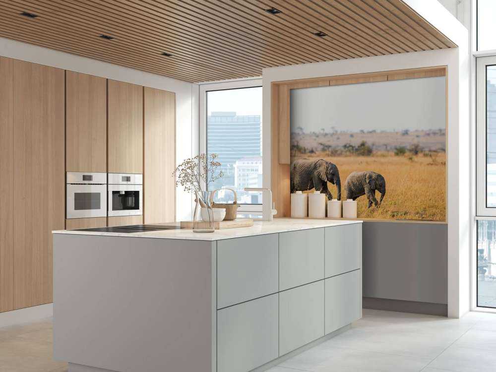 Olifant en Baby Olifant in Afrika