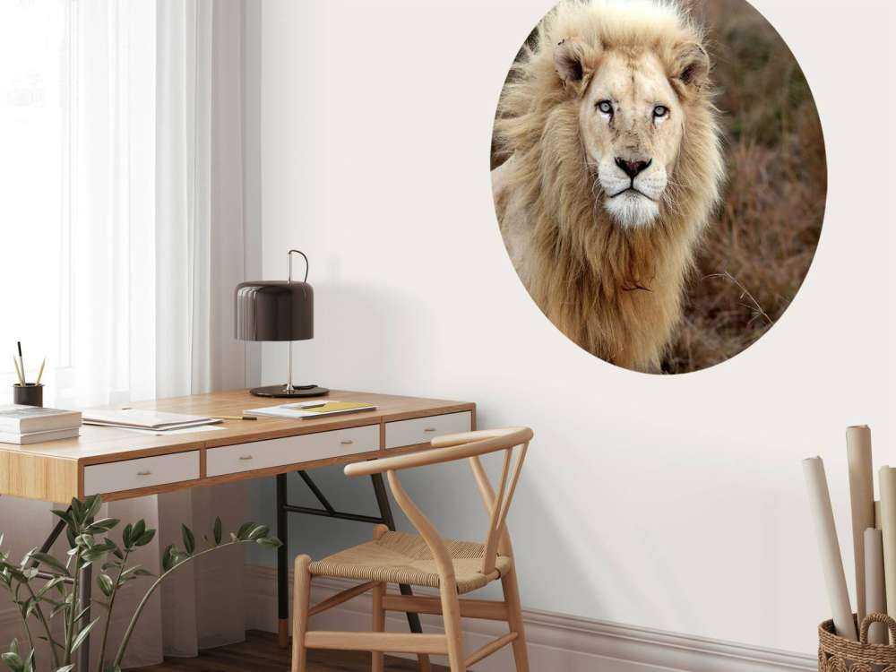 Harige Leeuw in de natuur