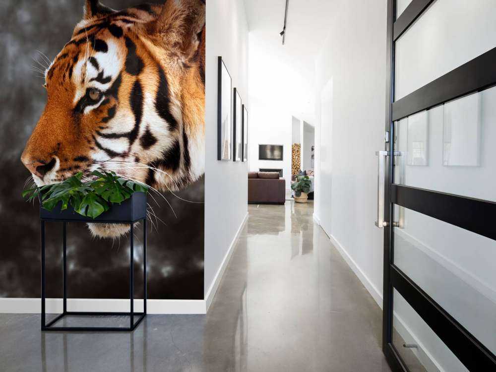 Wilde Tijger op zoek naar prooi