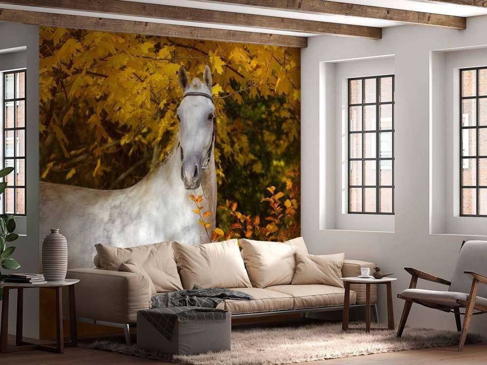 Wit Paard in de Herfst