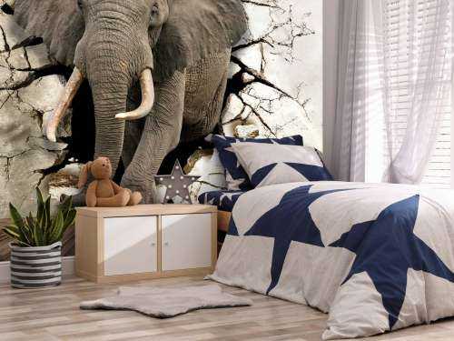 Grote olifant uit de muur