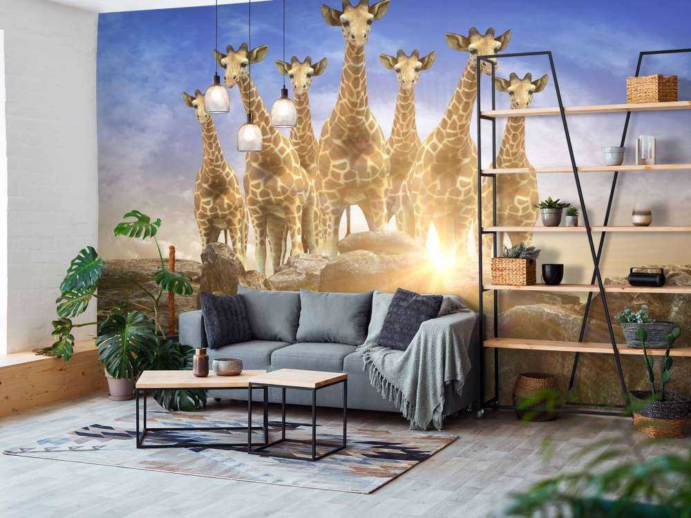 Giraffen bij zonsondergang