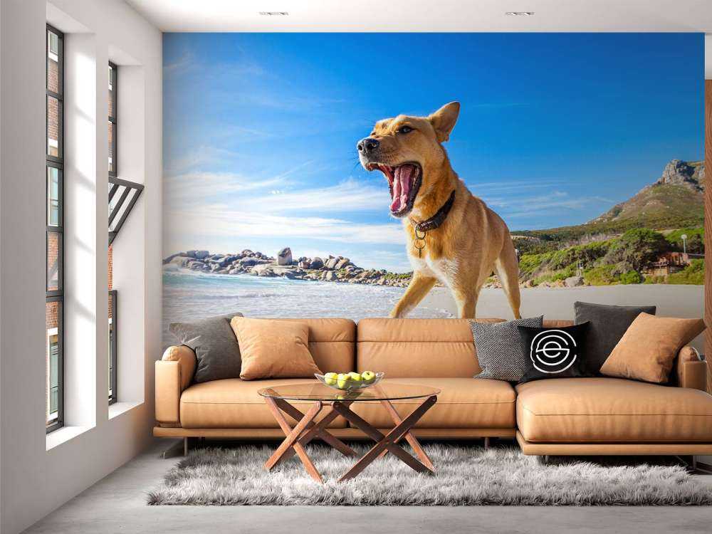 Hond in de zomer op het strand